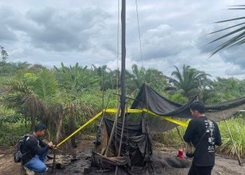 Puluhan Sumur Ilegal Drilling Di Kabupaten Batanghari Ditutup Tim Gabungan Polda Jambi Dan Denpom II/Sriwijaya