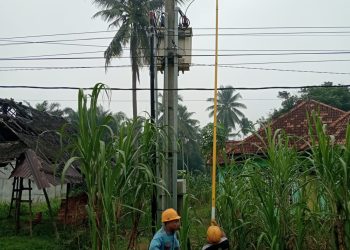 Listrik Padam Semalaman Di Tangkit, Kepala PLN Rayon Kota Baru Tak Bisa Dikonfirmasi Penyebab Pemadaman Listrik