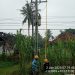 Listrik Padam Semalaman Di Tangkit, Kepala PLN Rayon Kota Baru Tak Bisa Dikonfirmasi Penyebab Pemadaman Listrik
