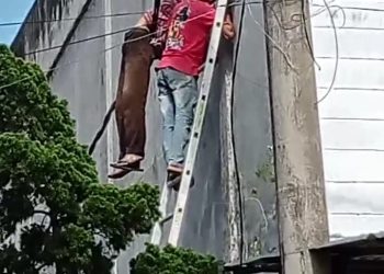 Sedang Bekerja Mengecet, Seorang Pria 52 Tahun Tersengat Listrik