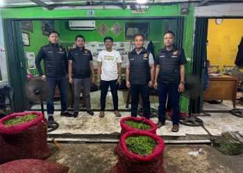 Pastikan Stok Cabe Tercukupi & Harga Stabil Di Bulan Ramadhan, Tim Indagsi Ditreskrimsus Polda Jambi Cek Di Pasar Angso Duo