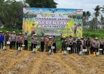 Gubernur Al Haris Bersama Kapolda Ikut Tanam Jagung Serentak 1 Juta Hektar