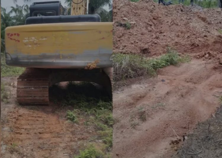 Manager Perusahaan Milik Aping, Anak Akak Ditetapkan Tersangka, Dugaan Pengerusakan Lahan: Malah Gugat Perdata Tak Terima Salah