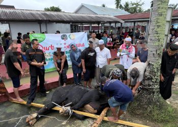 Peringatan Idul Adha 1446 H, Lapas Kelas IIA Jambi Kurbankan 9 Sapi dan 3 Kambing, Daging Dibagikan kepada Masyarakat dan Pihak Terkait