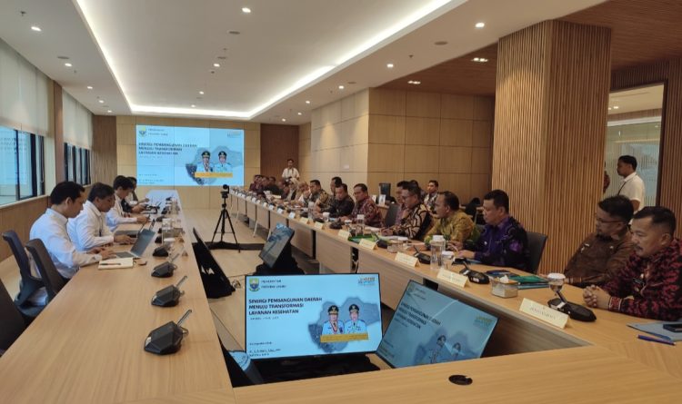Audiensi Dengan Menkes, Gubernur Al Haris Dorong Pemerataan Dan Penguatan Layanan Kesehatan Daerah
