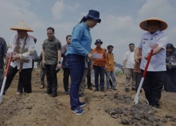 Pemkot Jambi Tekan Kemiskinan, Pacu Program Petani
