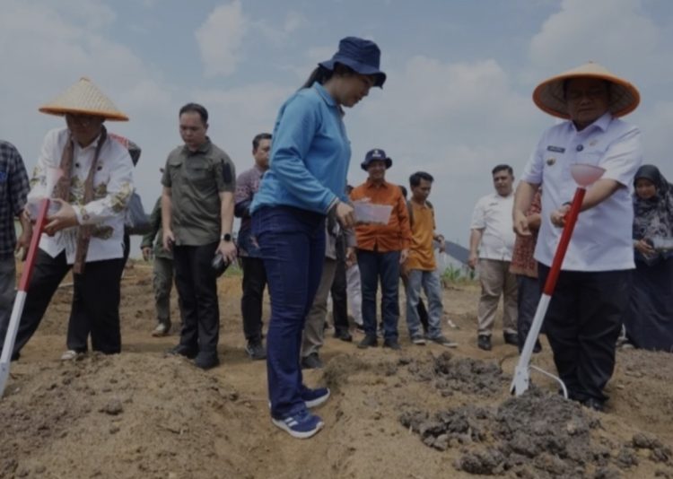 Pemkot Jambi Tekan Kemiskinan, Pacu Program Petani