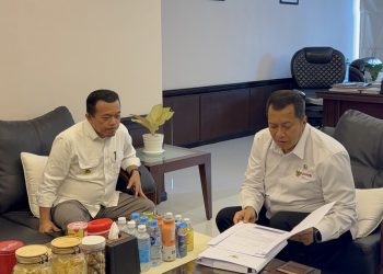Gubernur Al Haris Antar Langsung Berkas Pengusulan PPPK Paruh Waktu Ke Kementerian PANRB