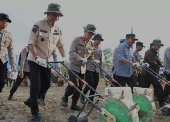 Wabup Junaidi Mahir Pimpin Tanam Raya Jagung di Muaro Jambi, Dukung Program Swasembada Pangan Presiden Prabowo