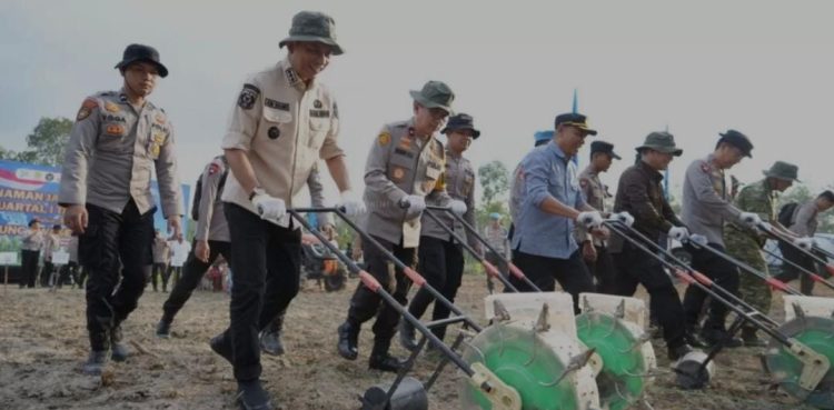 Wabup Junaidi Mahir Pimpin Tanam Raya Jagung di Muaro Jambi, Dukung Program Swasembada Pangan Presiden Prabowo
