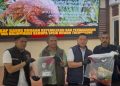 Satreskrim Polres Muaro Jambi Berhasil Amankan 2 Tersangka Penjual 4,79 KG Sisik Trenggiling Satwa Dilindungi