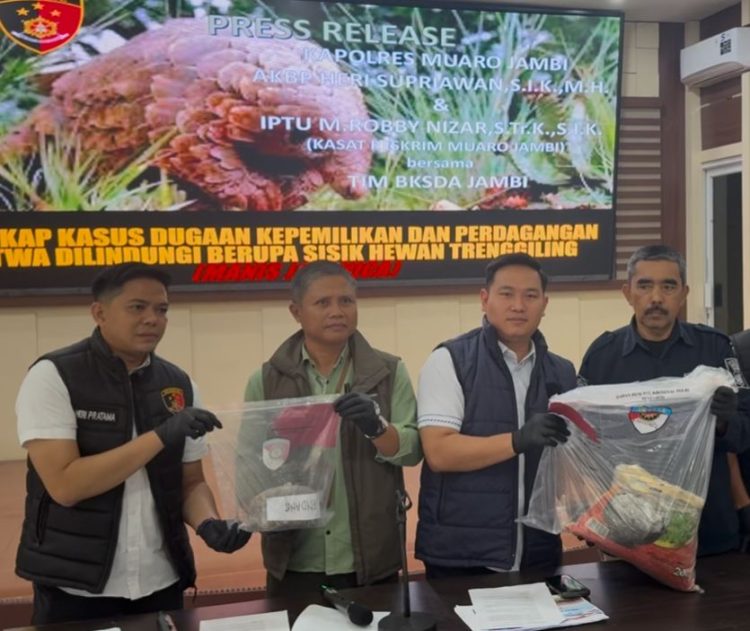 Satreskrim Polres Muaro Jambi Berhasil Amankan 2 Tersangka Penjual 4,79 KG Sisik Trenggiling Satwa Dilindungi