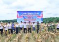 Polda Jambi Gelar Panen Raya Jagung Serentak Kuartal II 2026, Dukung Program Ketahanan Pangan Nasional