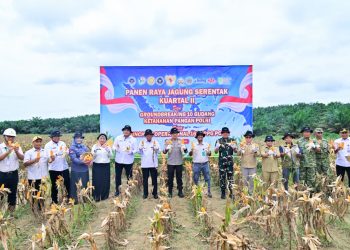 Polda Jambi Gelar Panen Raya Jagung Serentak Kuartal II 2026, Dukung Program Ketahanan Pangan Nasional