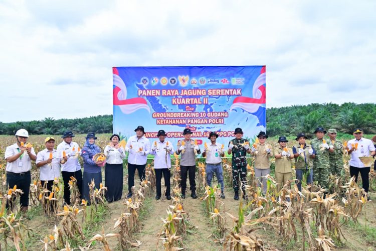 Polda Jambi Gelar Panen Raya Jagung Serentak Kuartal II 2026, Dukung Program Ketahanan Pangan Nasional