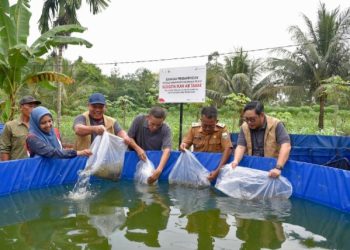 Media Field Trip 2026, Jurnalis Saksikan Budidaya Ikan Bioflok Binaan Pertamina EP Jambi