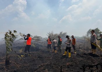 Tim Gabungan Gerak Cepat Padamkan Kebakaran Lahan 50 Hektare di Sungai Gelam, 300 Personil Dan 4 Helikopter Diturunkan Ke Lokasi