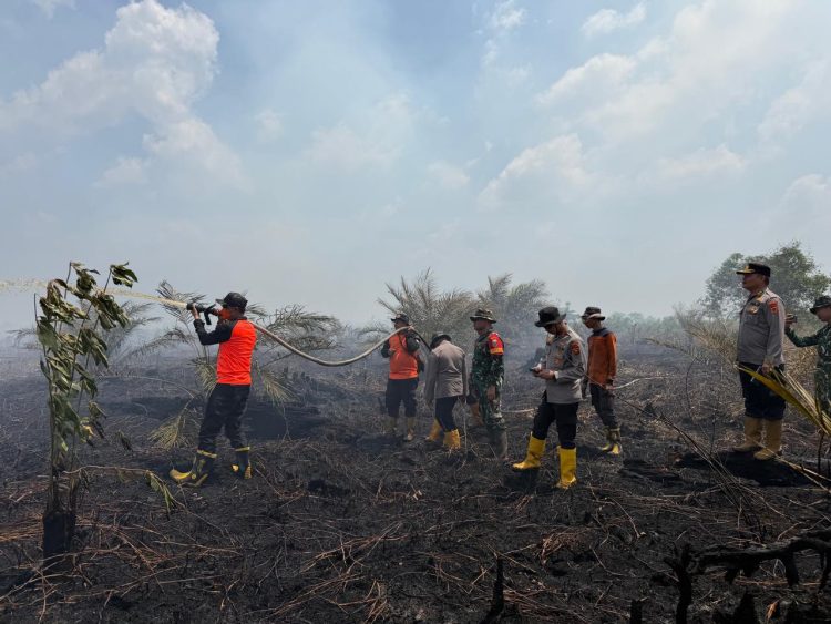Tim Gabungan Gerak Cepat Padamkan Kebakaran Lahan 50 Hektare di Sungai Gelam, 300 Personil Dan 4 Helikopter Diturunkan Ke Lokasi