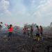 Tim Gabungan Gerak Cepat Padamkan Kebakaran Lahan 50 Hektare di Sungai Gelam, 300 Personil Dan 4 Helikopter Diturunkan Ke Lokasi