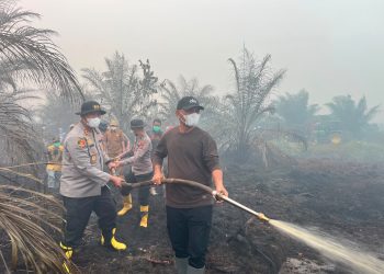 Sinergi TNI-Polri Dan Stakeholder, Karhutla Di Areal Plasma PT BKS Sarolangun Berhasil Dipadamkan