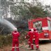 Pertamina EP Bantu Padamkan Lima Titik Kebakaran Lahan Di Jambi