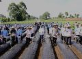Dukung Ketahanan Pangan Nasional, Polda Jambi Laksanakan Penanaman Bawang Putih Di Kayu Aro