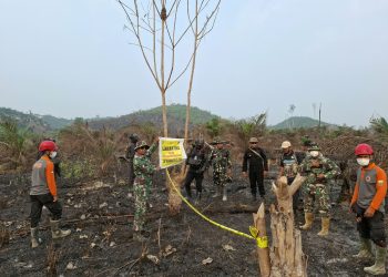 Pantau Karhutla, Satbrimob Polda Jambi Bersama Instansi Terkait Patroli Kawasan Konservasi Gajah Di Tebo
