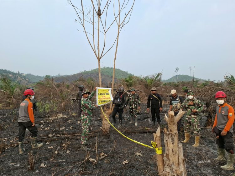 Pantau Karhutla, Satbrimob Polda Jambi Bersama Instansi Terkait Patroli Kawasan Konservasi Gajah Di Tebo