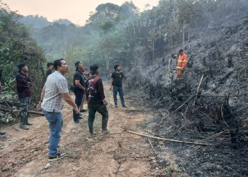 Polda Jambi Tangani Karhutla Seluas 5 Hektare di Areal PT Jebus Maju Merangin