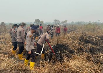 Gunakan Cairan X-FIRE, Polda Jambi Percepat Penanganan Karhutla Di Taman Nasional Berbak