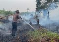 Satbrimob Polda Jambi Kerahkan 30 Personel Tangani Karhutla Di Betara Tanjab Barat