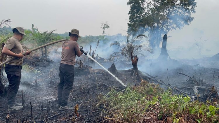 Satbrimob Polda Jambi Kerahkan 30 Personel Tangani Karhutla Di Betara Tanjab Barat