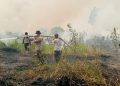 Tim Gabungan Padamkan Karhutla Di Kumpeh Ulu, 10 Hektare Lahan Berhasil Dipadamkan