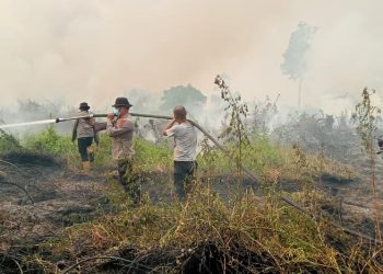Tim Gabungan Padamkan Karhutla Di Kumpeh Ulu, 10 Hektare Lahan Berhasil Dipadamkan