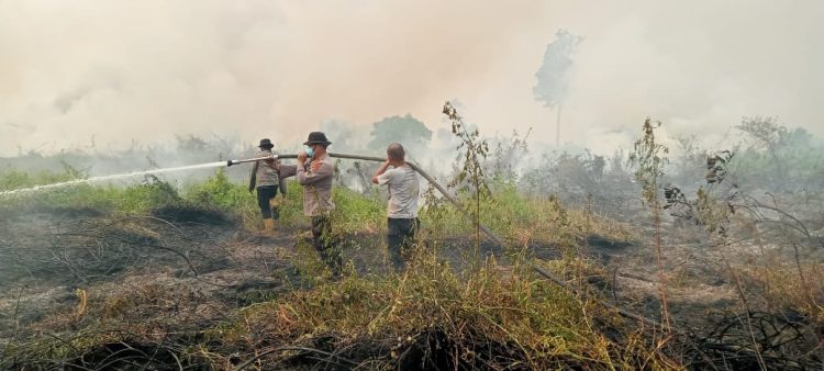 Tim Gabungan Padamkan Karhutla Di Kumpeh Ulu, 10 Hektare Lahan Berhasil Dipadamkan