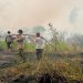 Tim Gabungan Padamkan Karhutla Di Kumpeh Ulu, 10 Hektare Lahan Berhasil Dipadamkan