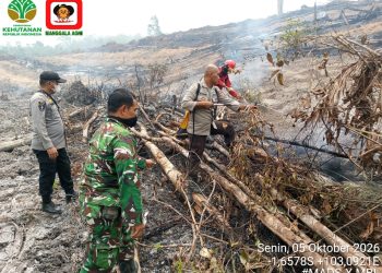 Tim Gabungan Padamkan Hotspot Di Desa Pelayangan Batanghari, Luas Lahan Terbakar ±0,8 Hektare