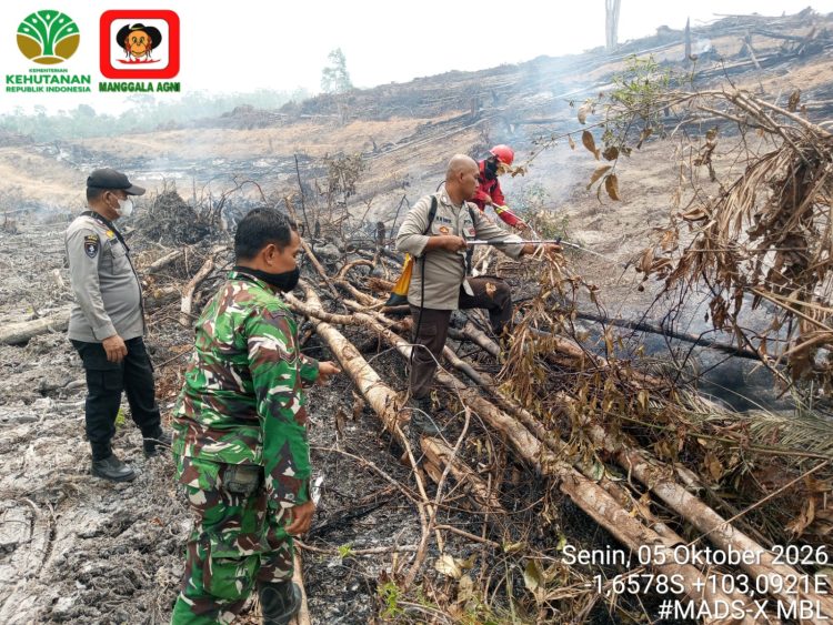 Tim Gabungan Padamkan Hotspot Di Desa Pelayangan Batanghari, Luas Lahan Terbakar ±0,8 Hektare