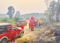 Tim Gabungan Padamkan Karhutla di Sungai Pulai Batanghari, Setengah Hektare Lahan Terbakar