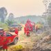 Tim Gabungan Padamkan Karhutla di Sungai Pulai Batanghari, Setengah Hektare Lahan Terbakar