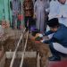 Dukung Pembangunan Sarana Ibadah, Wali Kota Maulana Lakukan Peletakan Batu Pertama Pembangunan Masjid