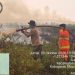 Tim Gabungan Padamkan Karhutla di Tahura Sungai Aur dan Lahan Desa Sumber Jaya Muaro Jambi