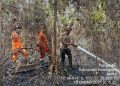 Brimob Polda Jambi Bersama Tim Gabungan Lakukan Pemadaman Dan Pendinginan Karhutla Di Batanghari Dan Muaro Jambi