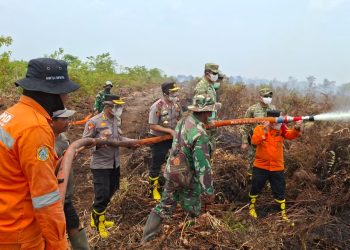 Wakapolda Jambi Pantau Penanganan Karhutla, Patroli Udara Temukan Titik Api di Labuhan Pering dan TNB Sembilang