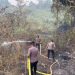 Respons Cepat, Personel Satbrimob Polda Jambi Padamkan Kebakaran Lahan Di Merangin