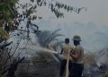 Jangan Hanya Padamkan Api, Lindungi Kesehatan dan Pulihkan Ekosistem, Ivan Wirata Dorong Revolusi Penanganan Karhutla Jambi