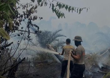 Jangan Hanya Padamkan Api, Lindungi Kesehatan dan Pulihkan Ekosistem, Ivan Wirata Dorong Revolusi Penanganan Karhutla Jambi