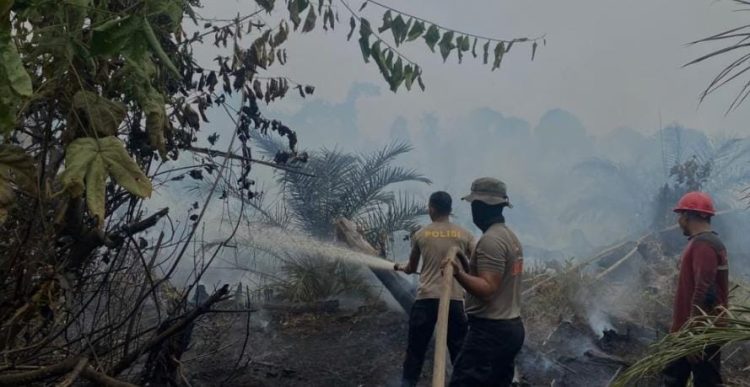 Jangan Hanya Padamkan Api, Lindungi Kesehatan dan Pulihkan Ekosistem, Ivan Wirata Dorong Revolusi Penanganan Karhutla Jambi